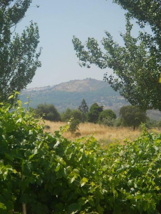 Tapada Da Beira Βίλα Marvão Εξωτερικό φωτογραφία