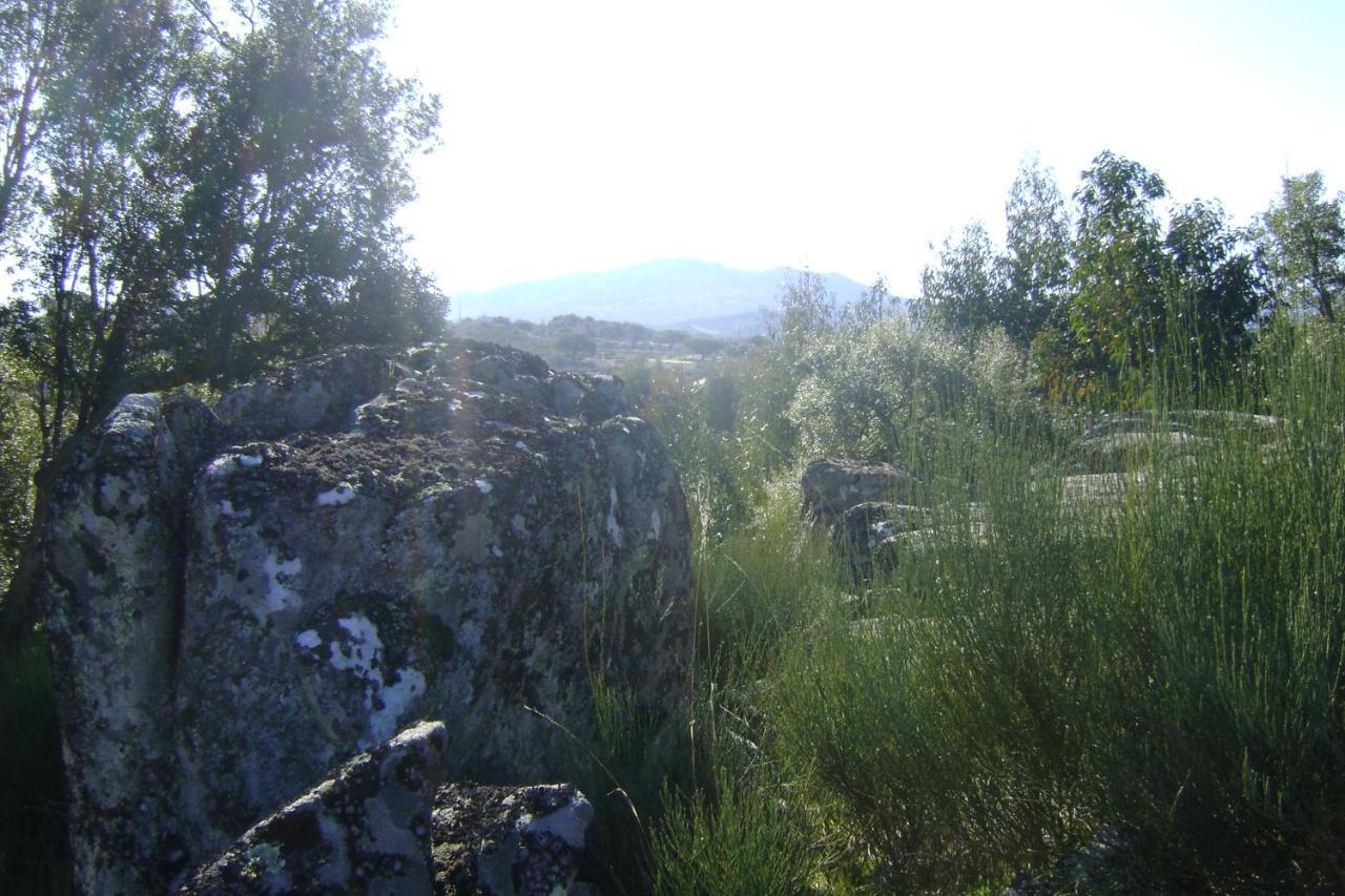 Tapada Da Beira Βίλα Marvão Εξωτερικό φωτογραφία