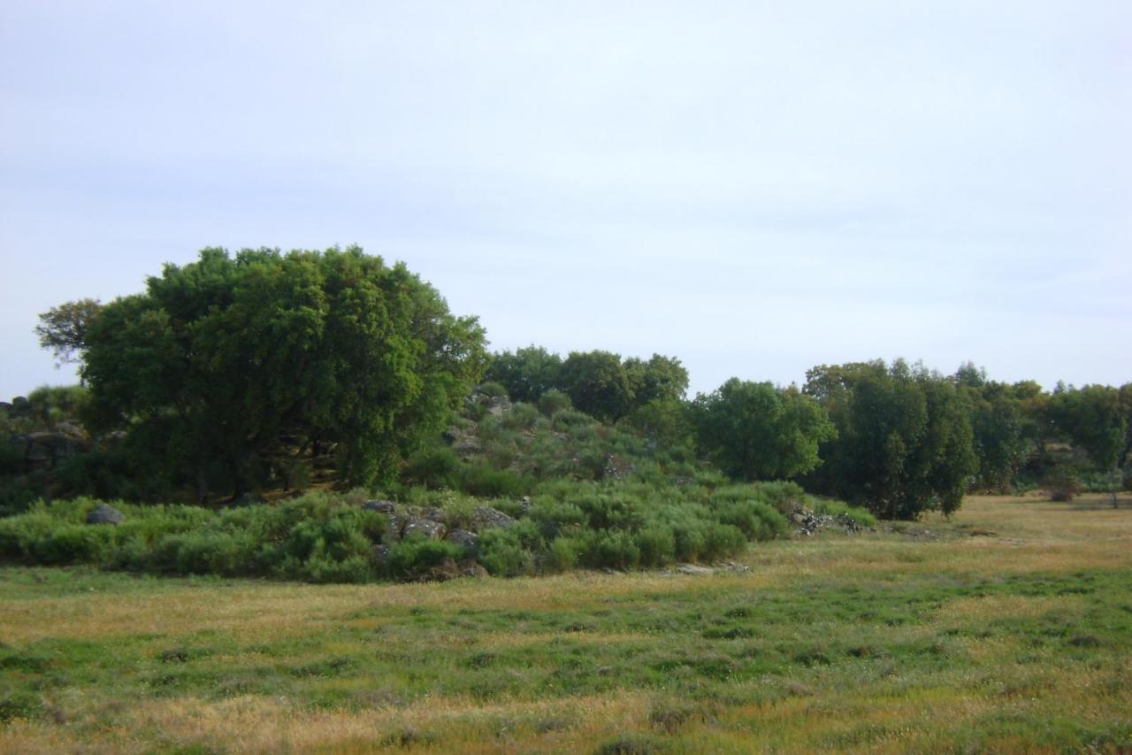 Tapada Da Beira Βίλα Marvão Εξωτερικό φωτογραφία