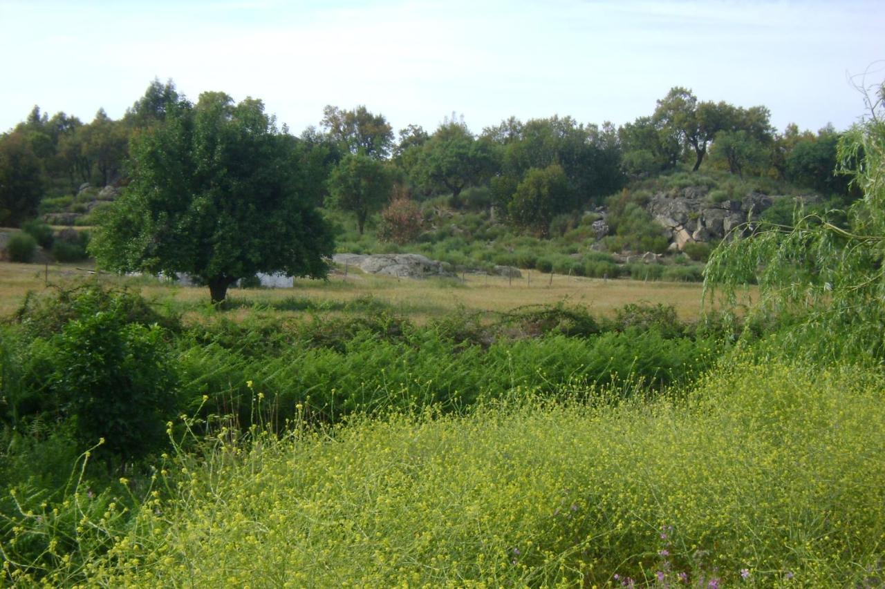 Tapada Da Beira Βίλα Marvão Εξωτερικό φωτογραφία