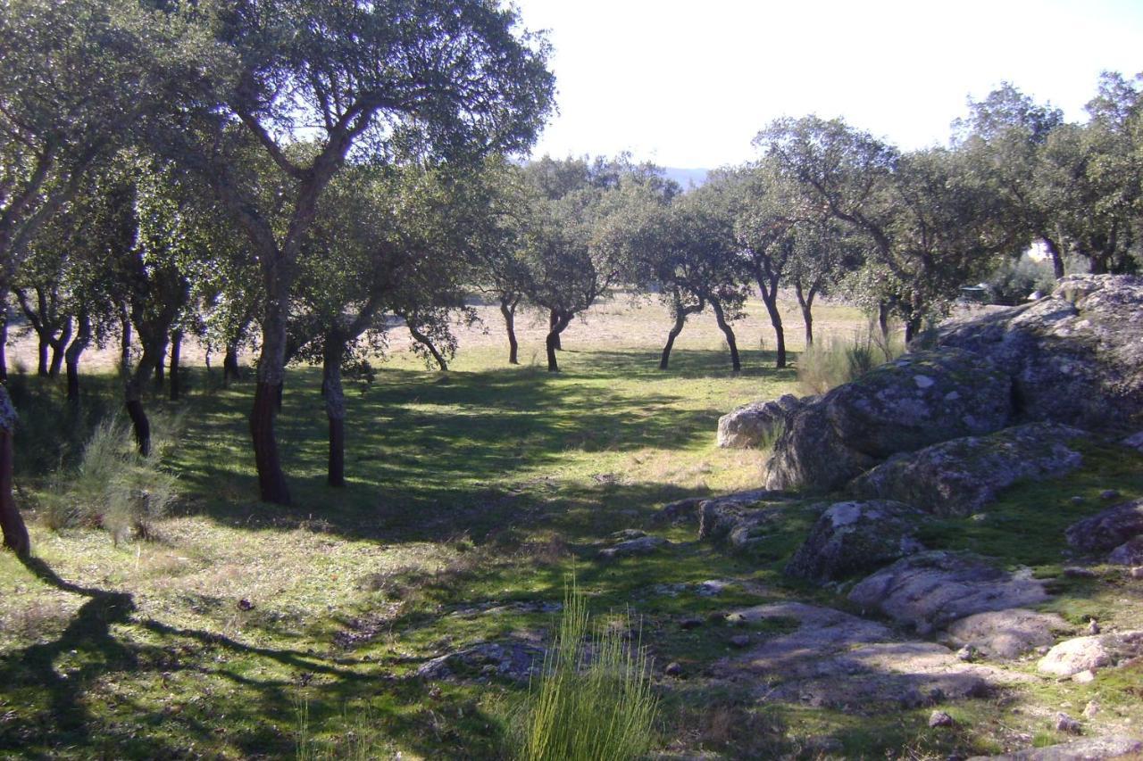 Tapada Da Beira Βίλα Marvão Εξωτερικό φωτογραφία